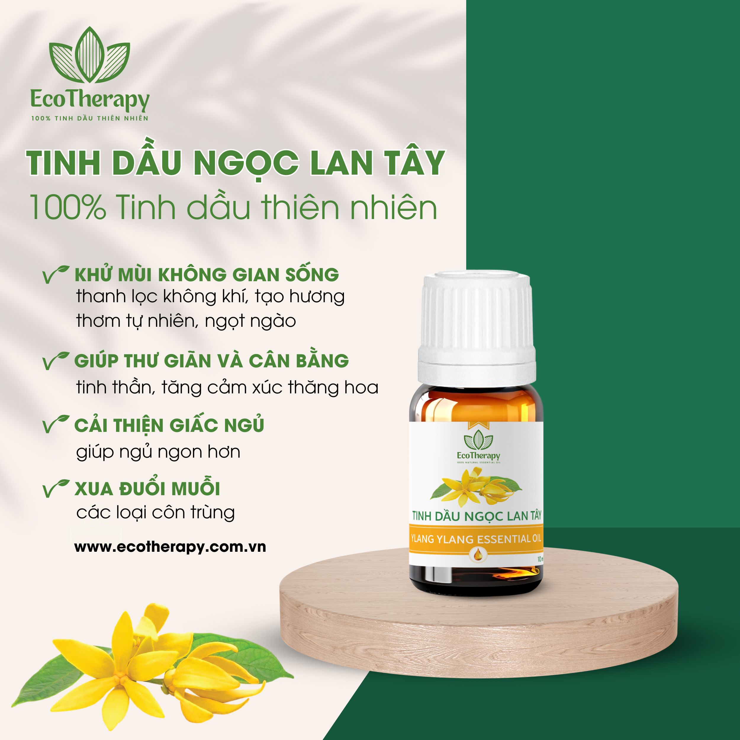 Tạo Không Gian Phòng Khách Sang Trọng Với 7 Loại Tinh Dầu Cao Cấp