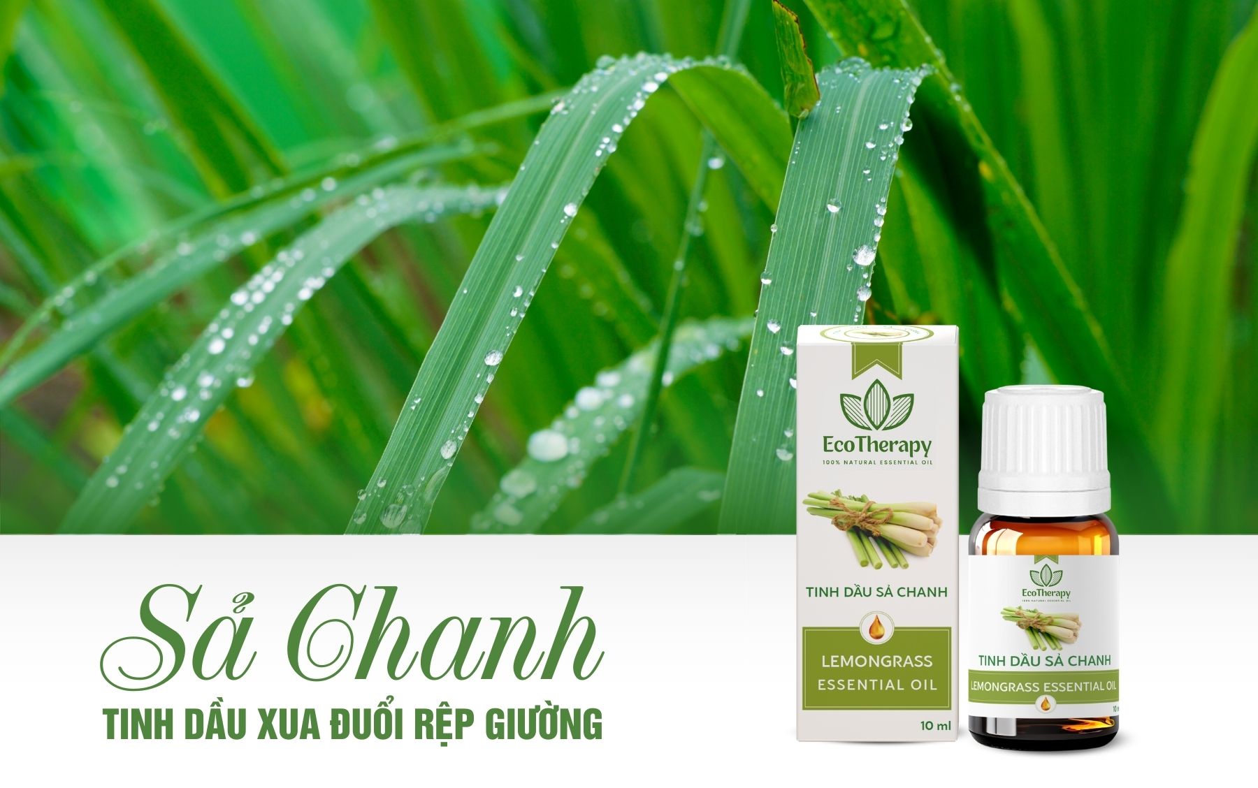 tinh-dau-sa-chanh-10-ml