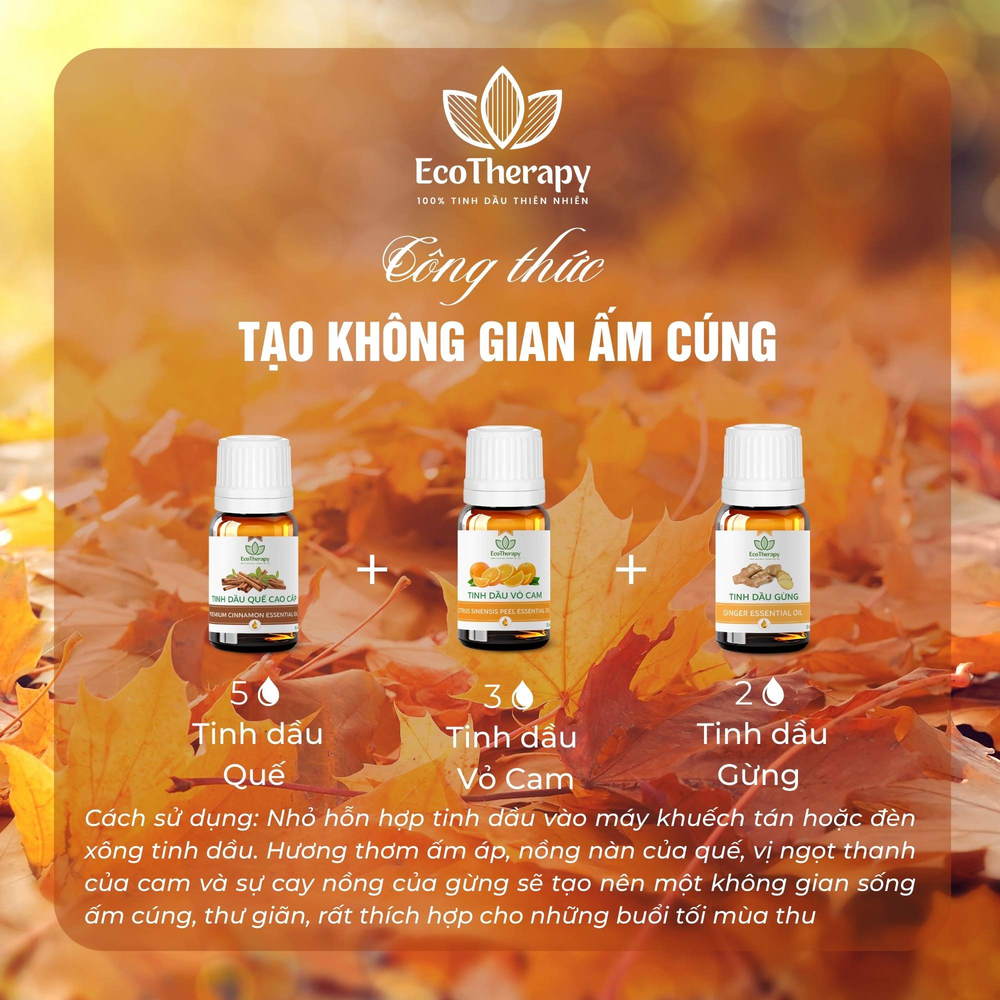 am-ap-mua-thu-voi-tinh-dau-ecotherapy-bi-quyet-giu-gin-suc-khoe-va-tinh-than-sang-khoai