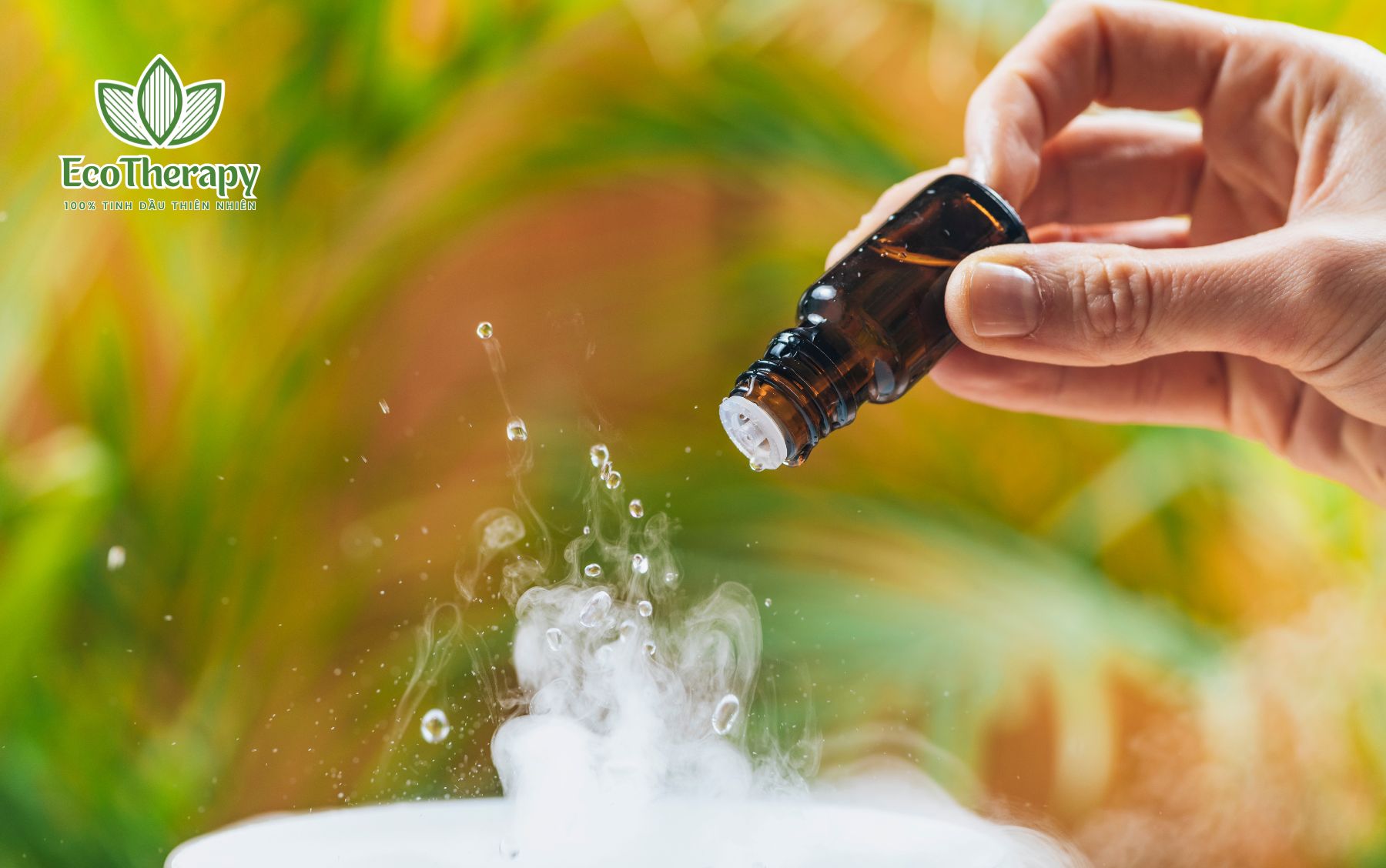 don-nam-moi-an-lanh-voi-tinh-dau-ecotherapy