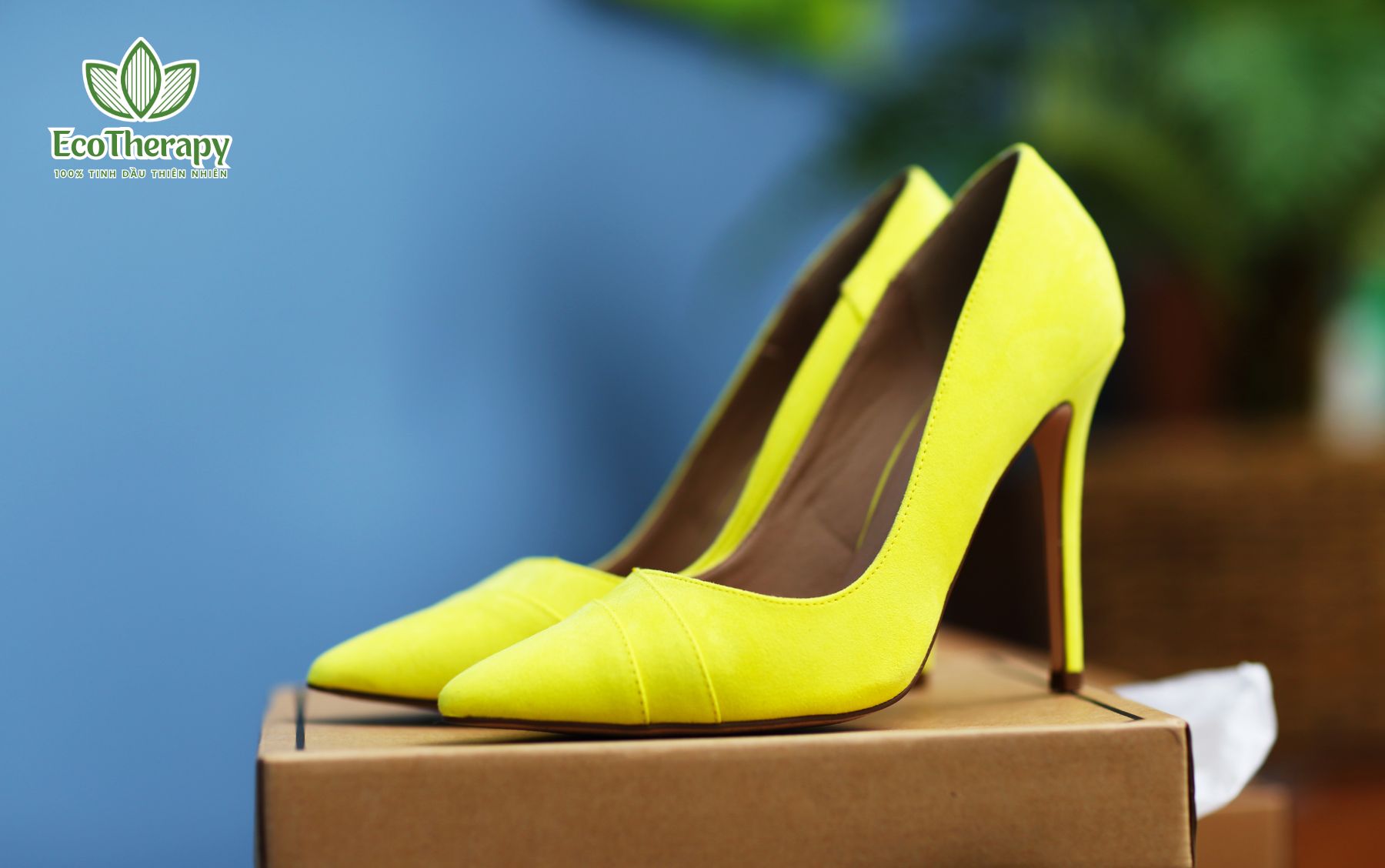 10 Món Quà Sinh Nhật Tinh Tế Cho Sếp Nữ Giúp Bạn Tạo Ấn Tượng Tốt