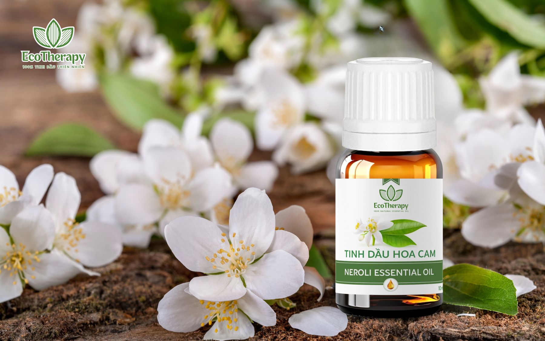 tinh-dau-hoa-cam-10-ml