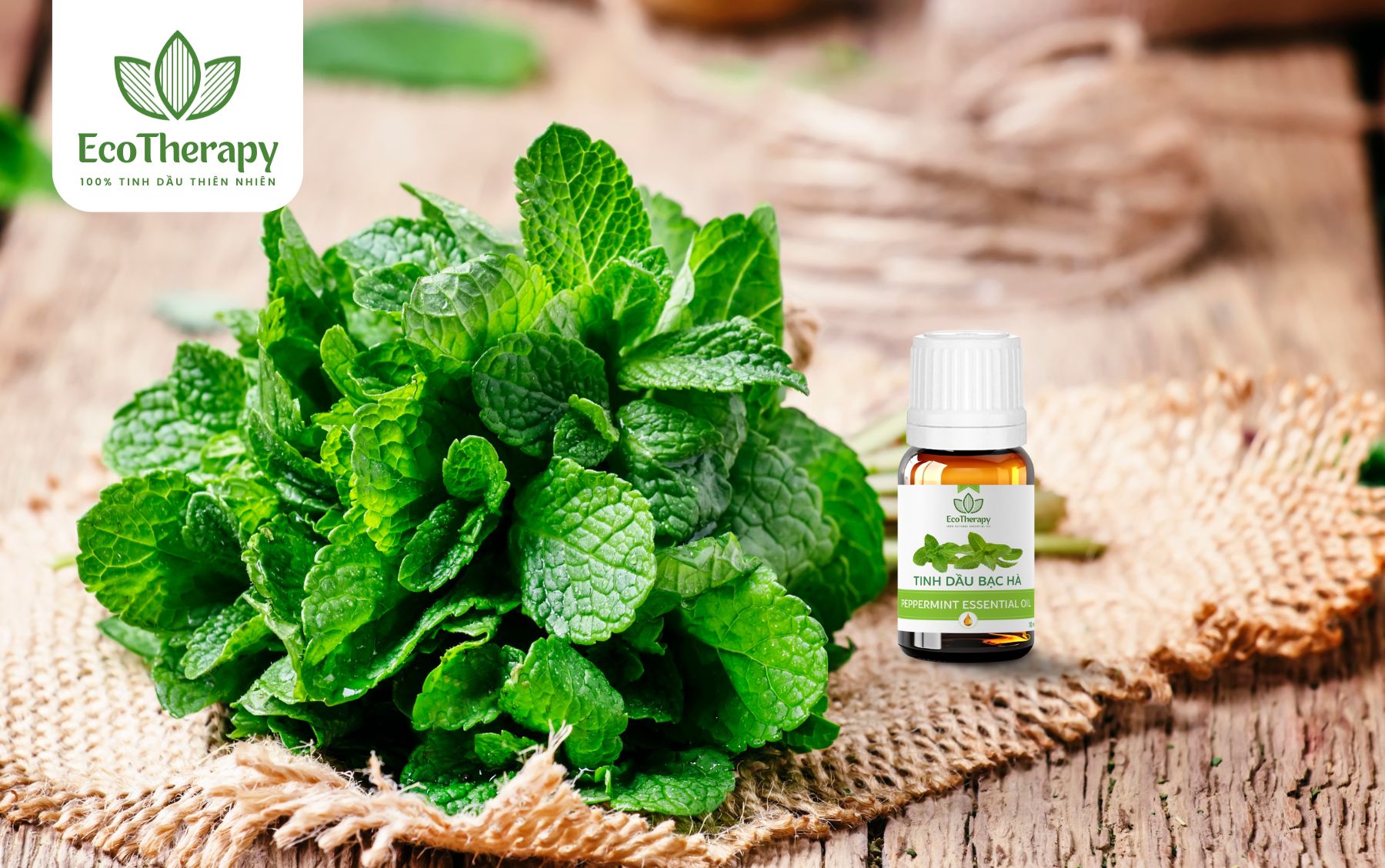 Tinh dầu Bạc Hà