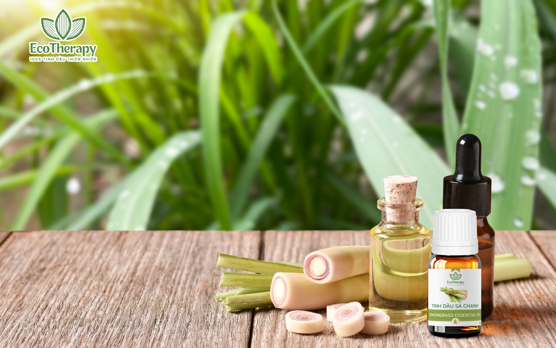 Top 4 Tinh Dầu Dành Cho Phòng Ngủ, Giúp Thư Giãn Ngủ Ngon Hơn