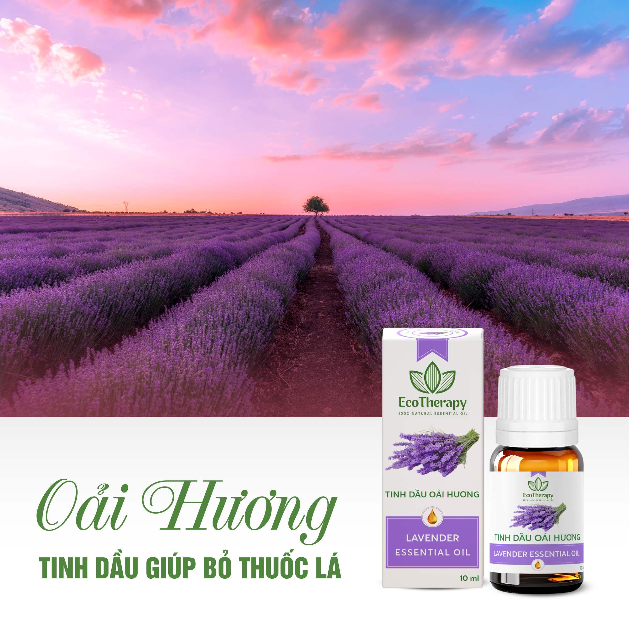 tinh-dau-oai-huong-10-ml