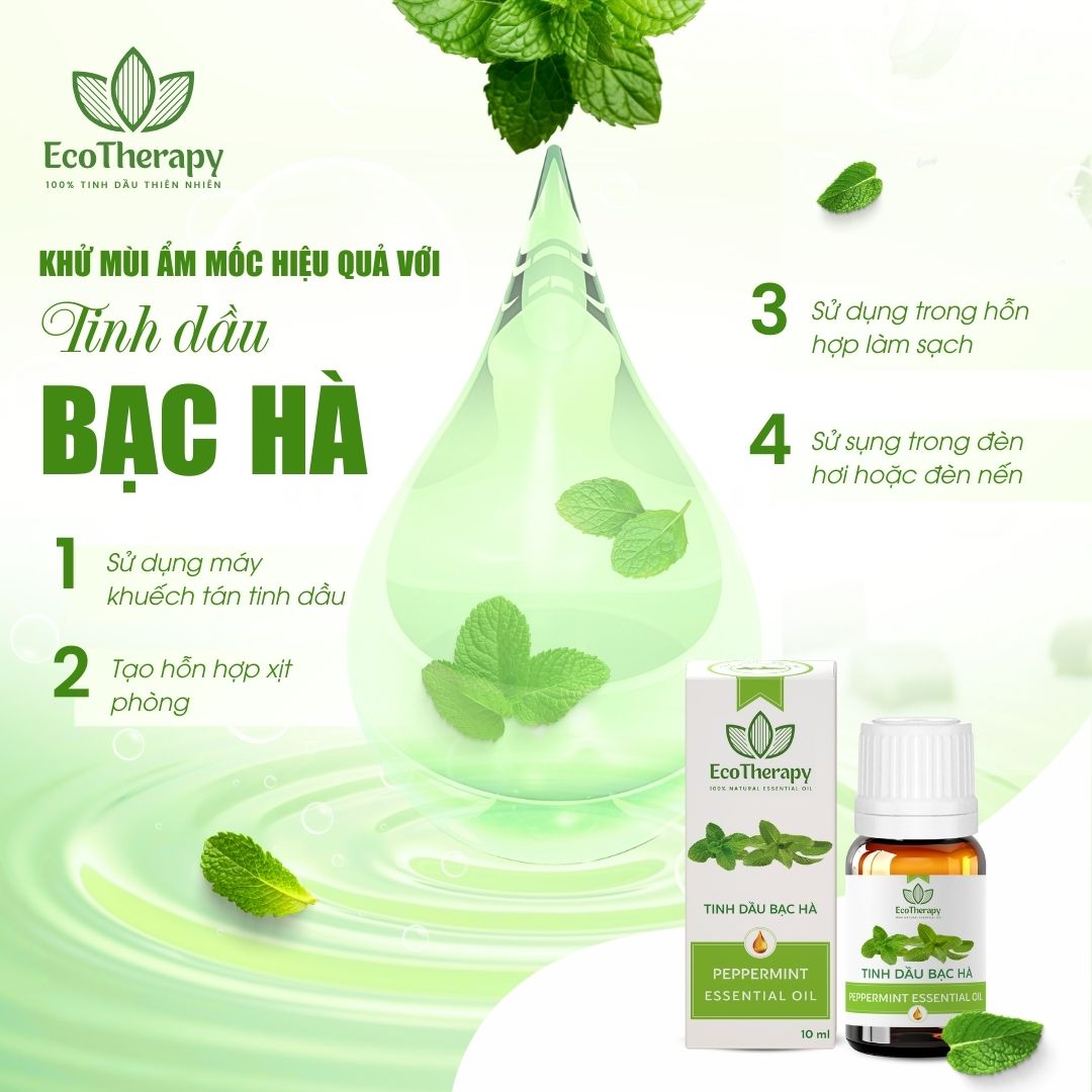 Khử Mùi Ẩm Mốc Hiệu Quả Với Tinh Dầu Bạc Hà