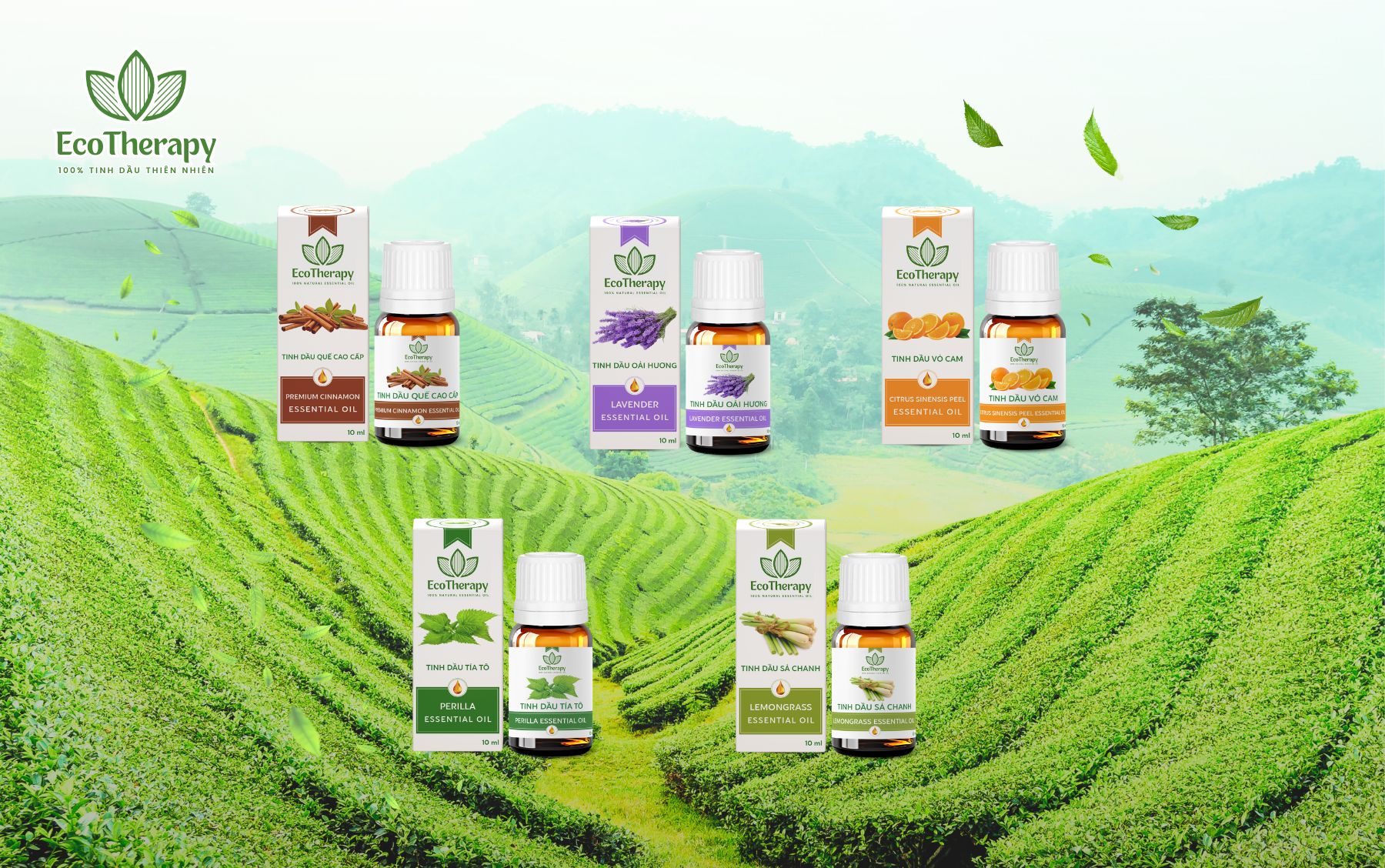 Tinh dầu EcoTherapy: Bí quyết xua tan u ám mùa mưa.