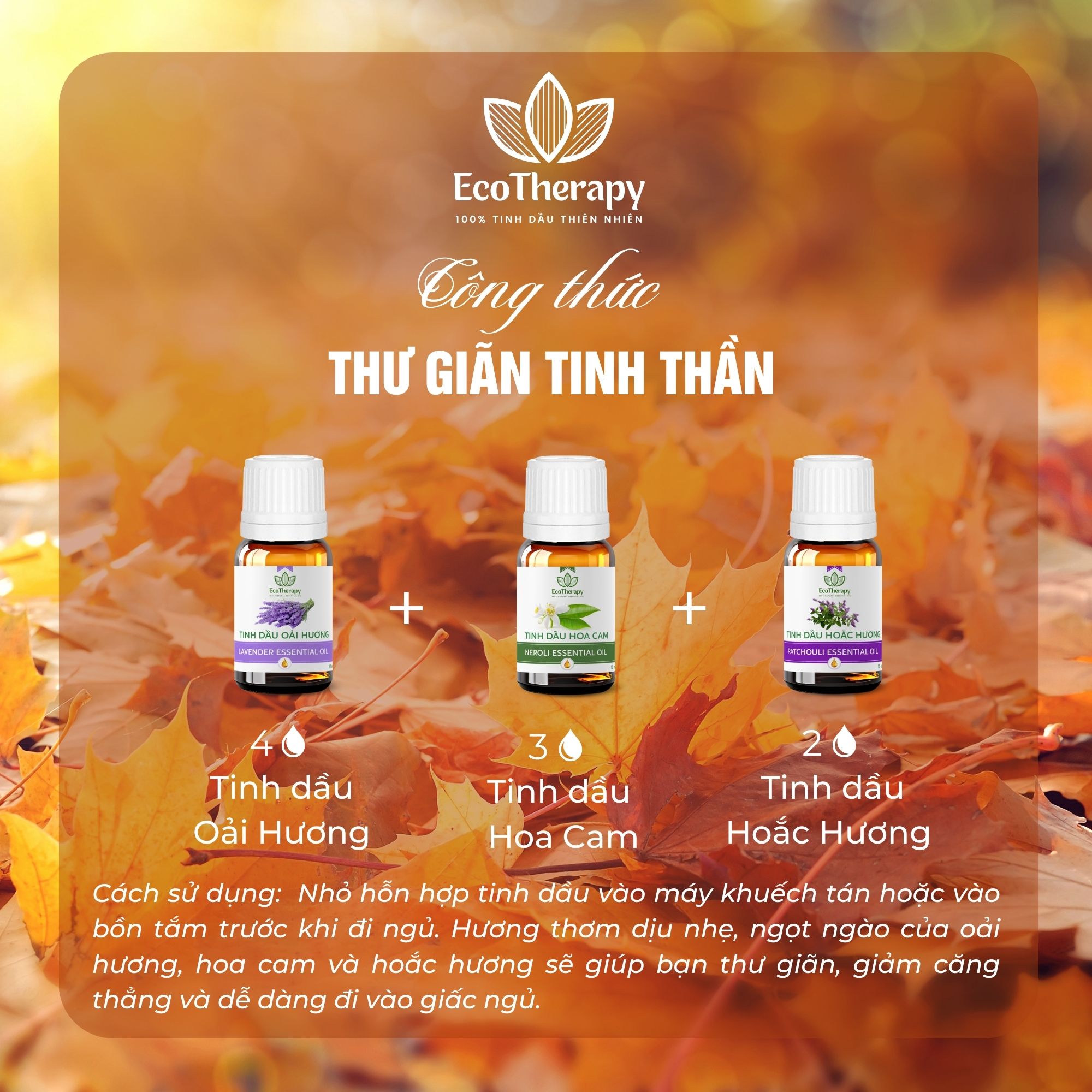 am-ap-mua-thu-voi-tinh-dau-ecotherapy-bi-quyet-giu-gin-suc-khoe-va-tinh-than-sang-khoai