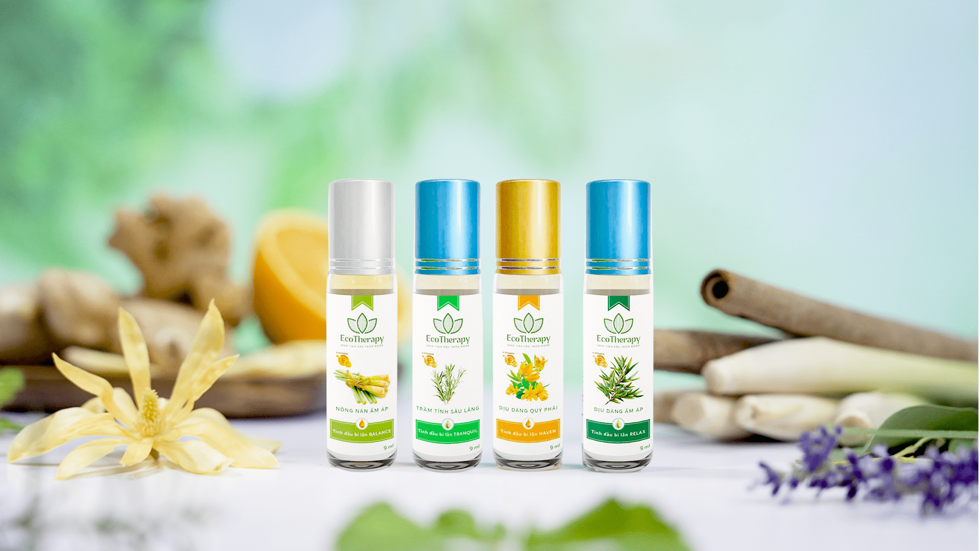 TINH DẦU BI LĂN ECOTHERAPY - LIỆU PHÁP ĐẾN TỪ 100% TINH DẦU THIÊN NHIÊN