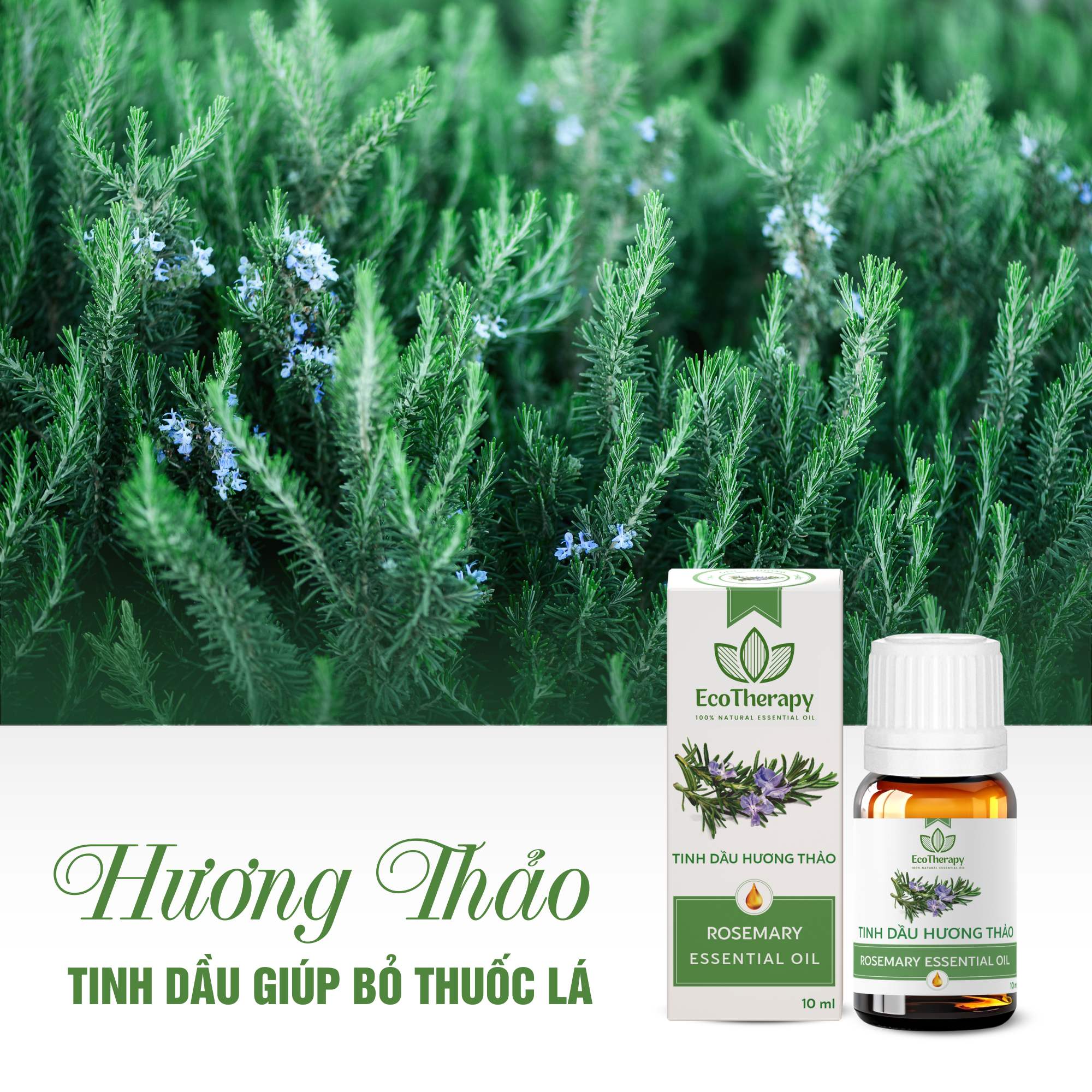 tinh-dau-huong-thao-10-ml