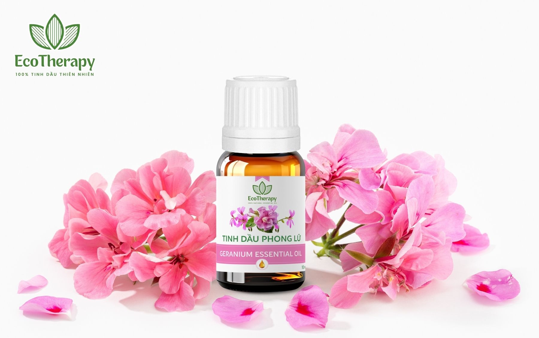 tinh-dau-nao-tot-de-xong-phong-cho-mua-dong