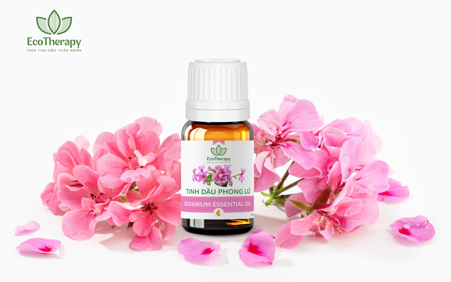 Top 4 Tinh Dầu Dành Cho Phòng Ngủ, Giúp Thư Giãn Ngủ Ngon Hơn