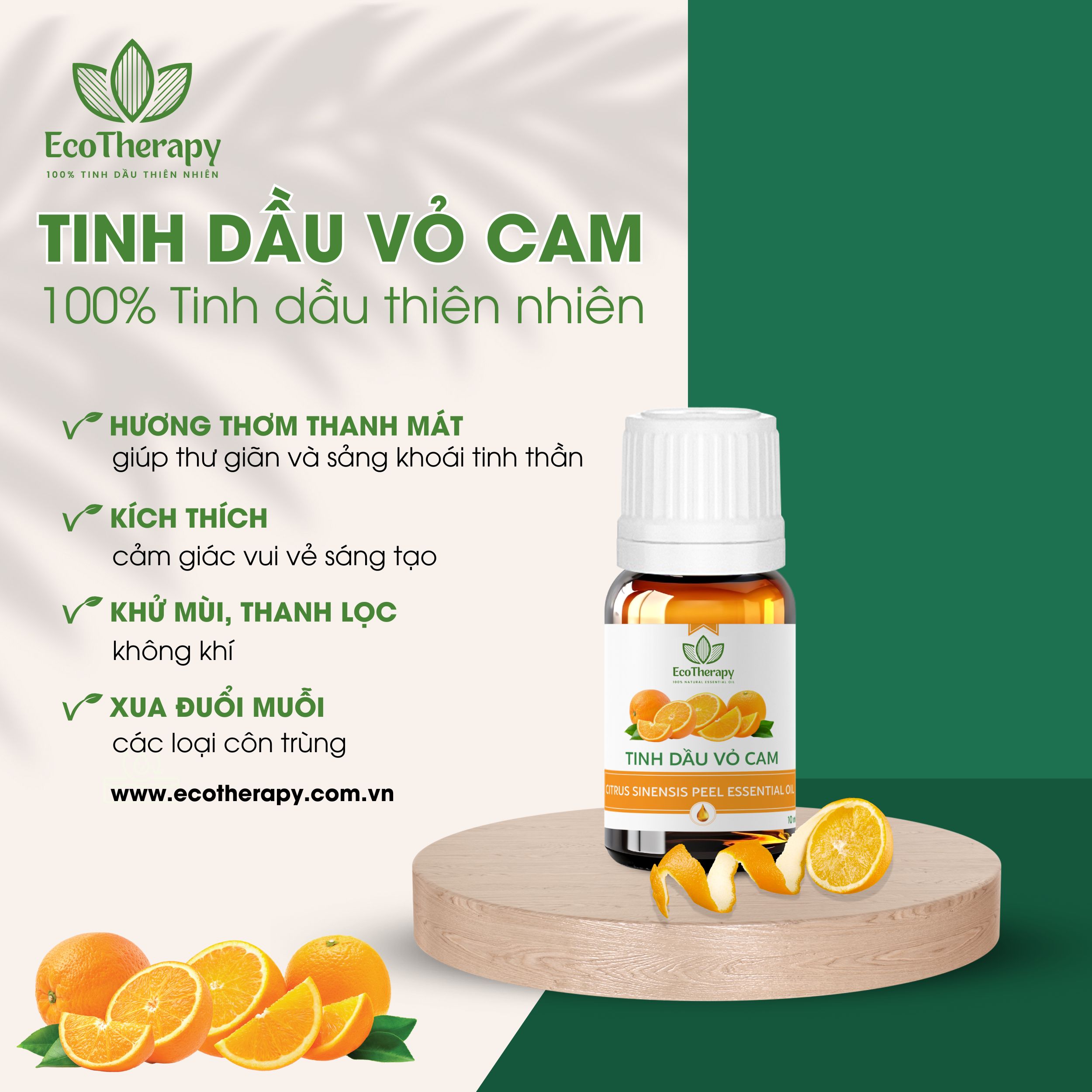 Tạo Không Gian Phòng Khách Sang Trọng Với 7 Loại Tinh Dầu Cao Cấp