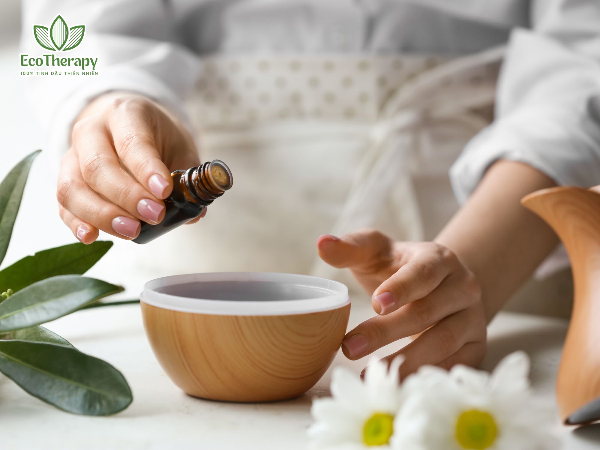 Tinh dầu là gì? Mọi điều bạn cần biết về tinh dầu