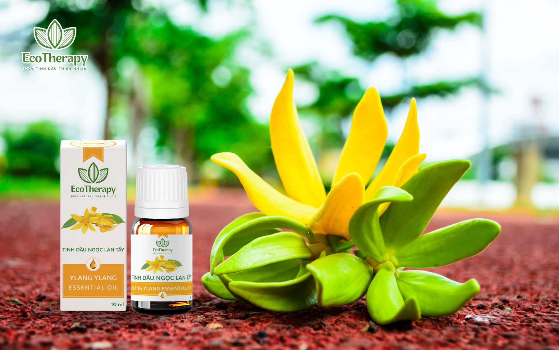 tinh-dau-ngoc-lan-tay-10-ml