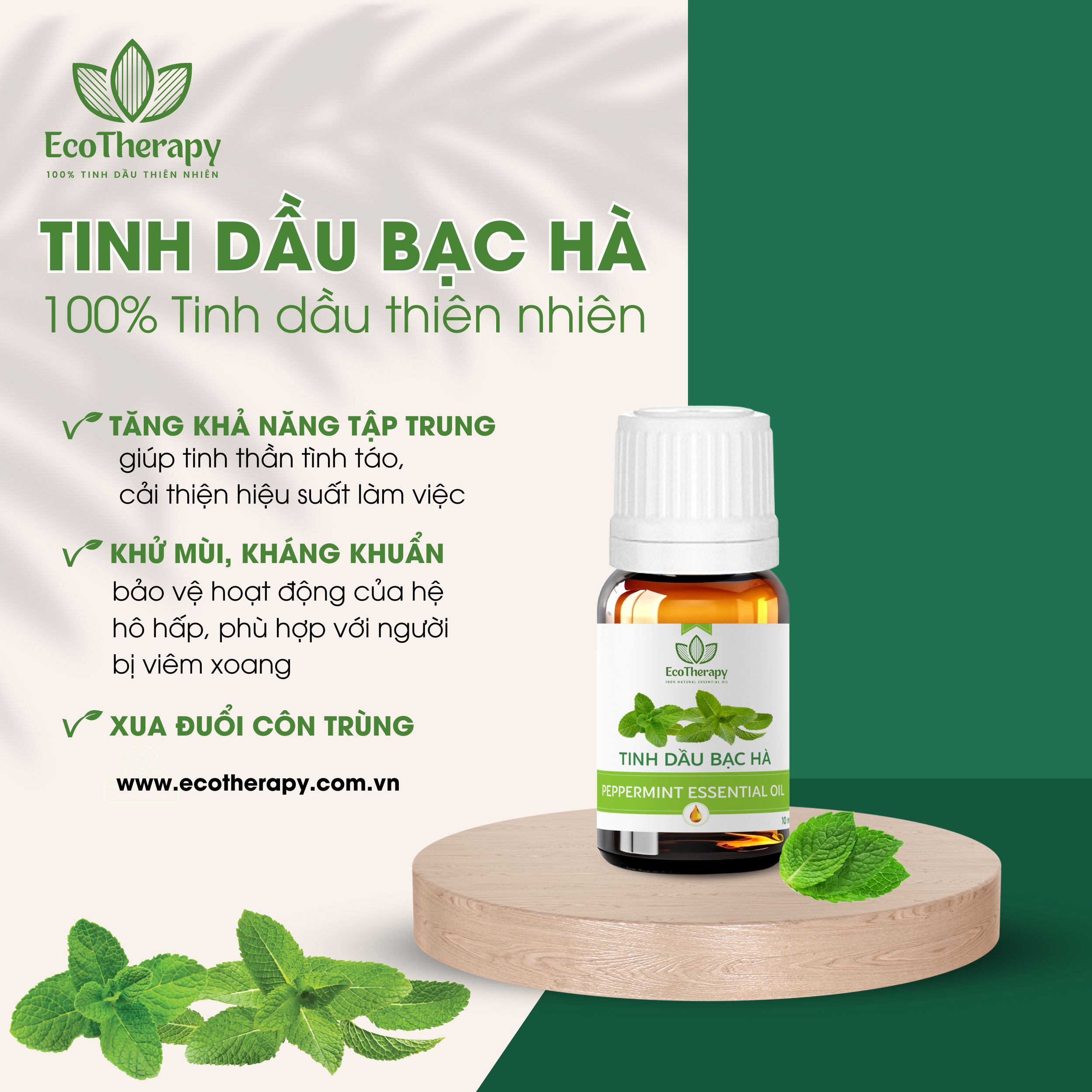 Tạo Không Gian Phòng Khách Sang Trọng Với 7 Loại Tinh Dầu Cao Cấp