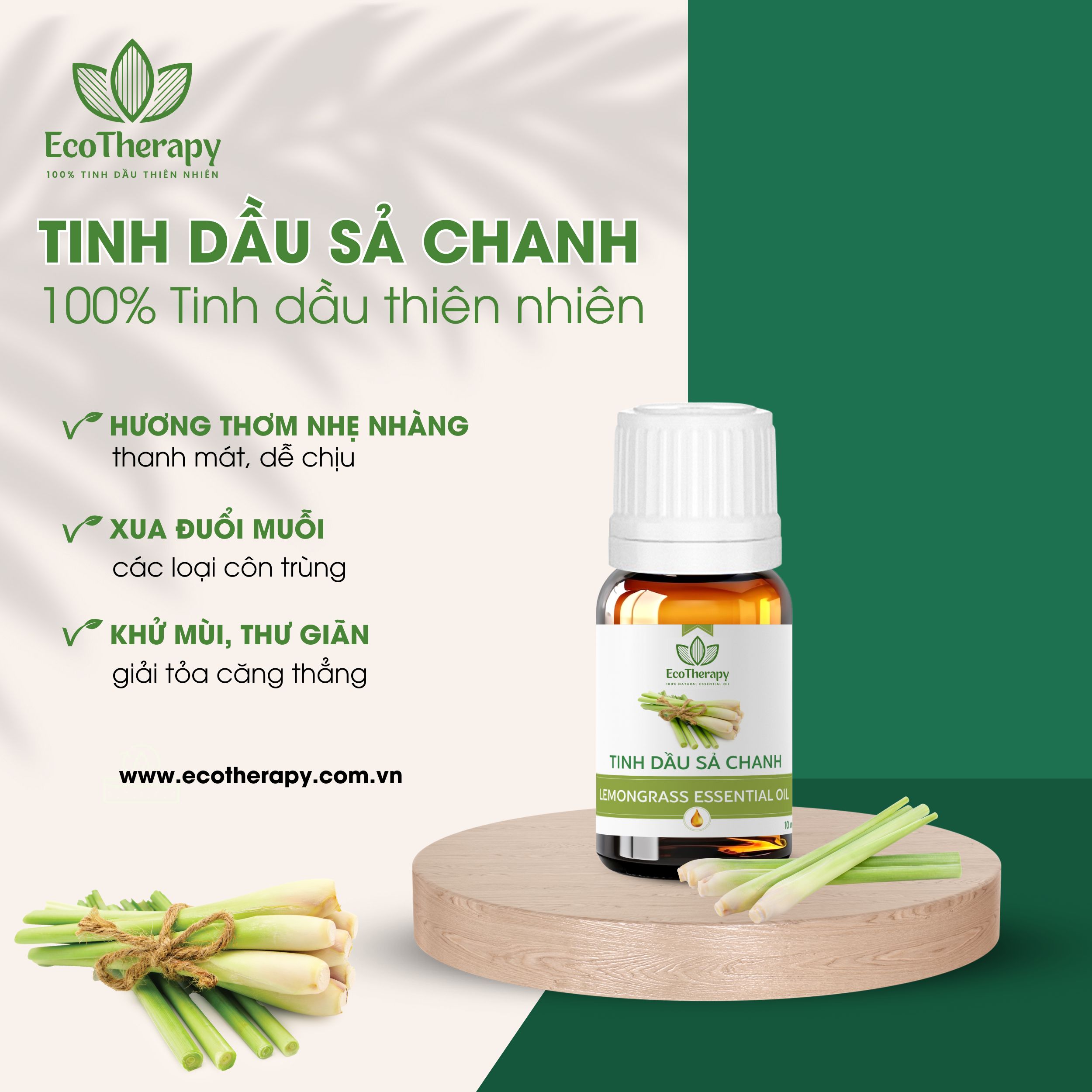 Tạo Không Gian Phòng Khách Sang Trọng Với 7 Loại Tinh Dầu Cao Cấp