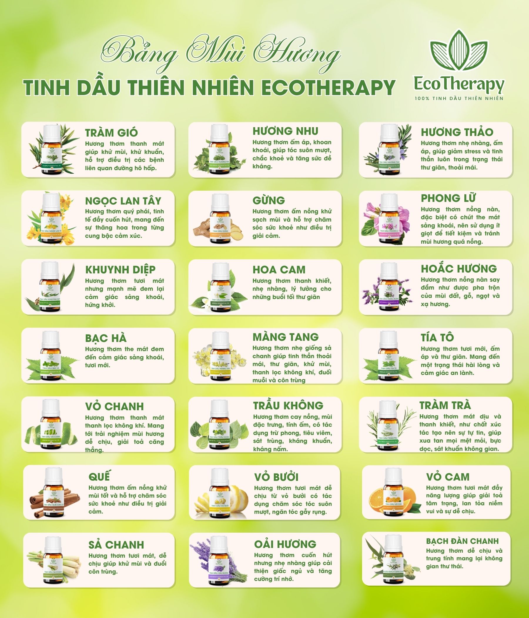 danh-thuc-moi-giac-quan-voi-bang-mui-huong-tinh-dau-ecotherapy