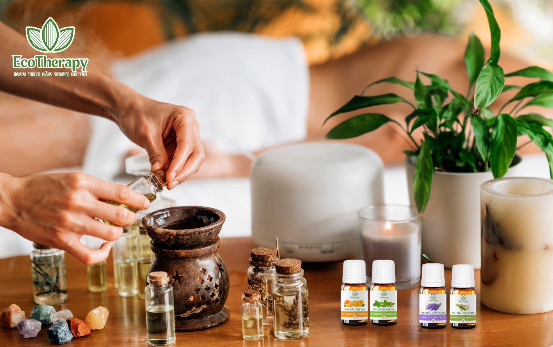 tinh-dau-ecotherapy-giai-phap-thien-nhien-xua-duoi-con-trung-phong-ngua-sot-xuat-huyet