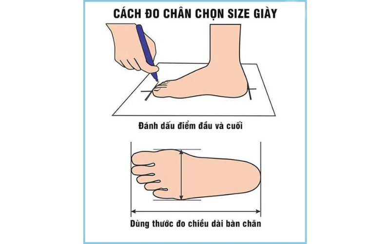 Bảng size giày Hàn Quốc với Việt Nam và cách quy đổi chuẩn nhất
