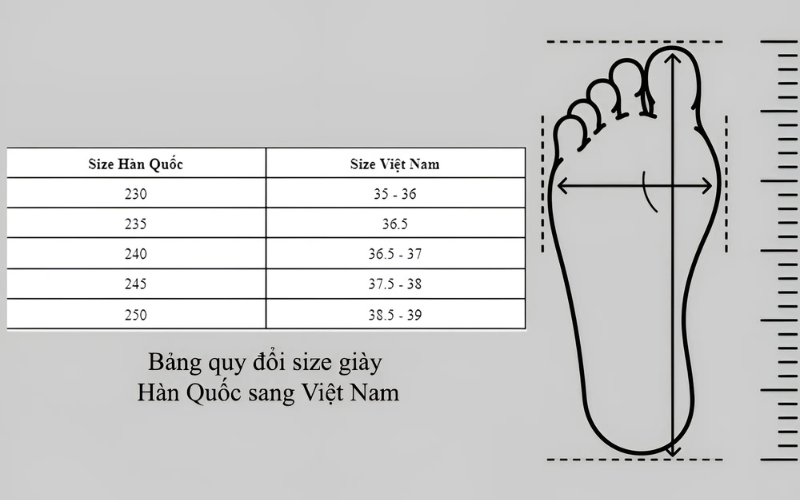 Bảng size giày Hàn Quốc với Việt Nam và cách quy đổi chuẩn nhất
