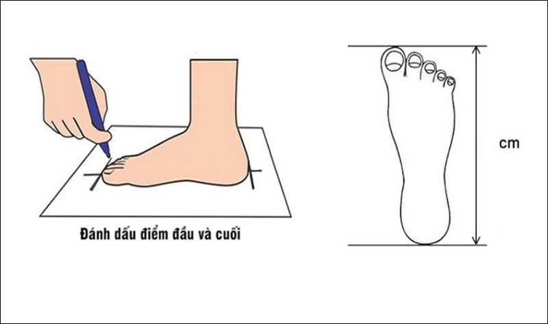Đo kích thước chân chính xác