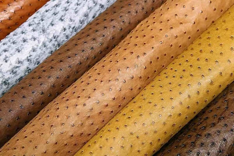 bí quyết phân biệt da đà điểu 4