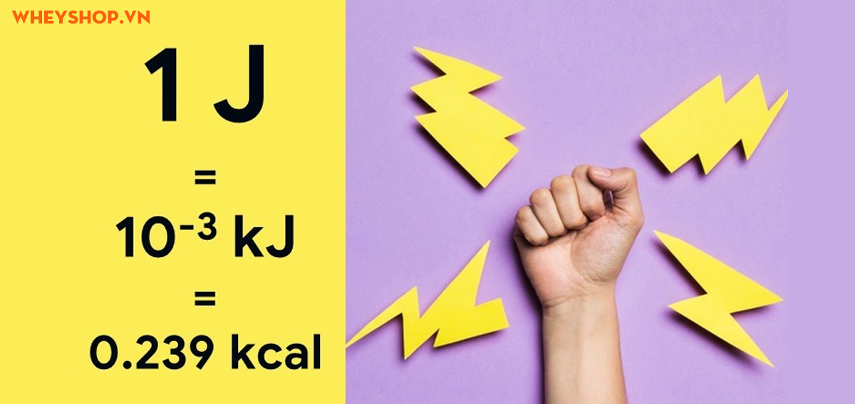 1 Jun bằng bao nhiêu Calo? Công thức + Bảng tra nhanh