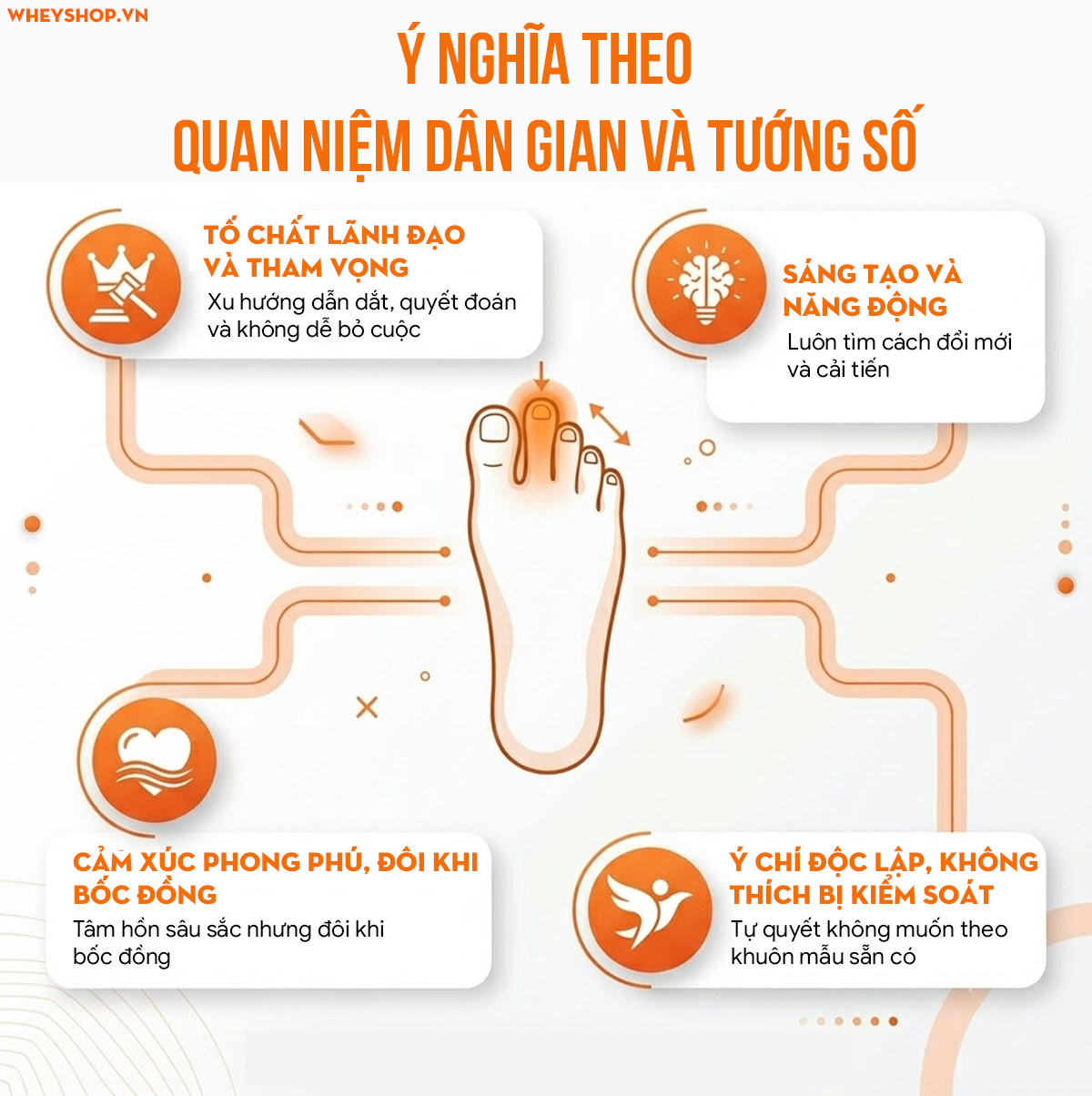 Ngón chân trỏ dài hơn ngón cái nói lên điều gì? | WheyShop