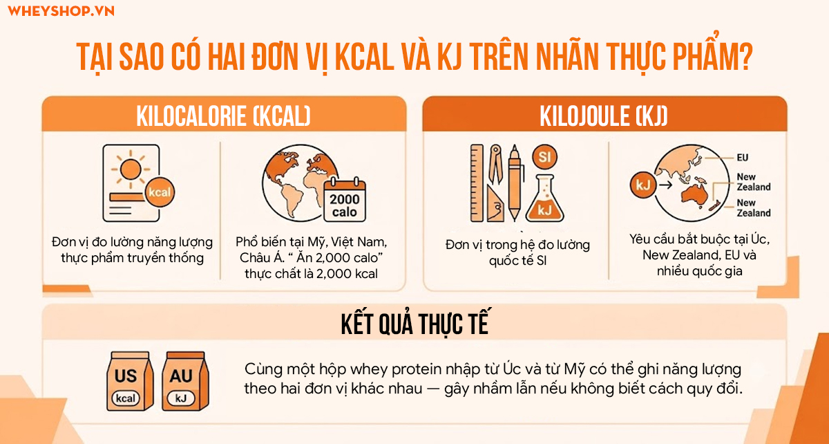 Quy đổi kcal sang kJ: Công thức + Bảng tra nhanh - WheyShop.vn