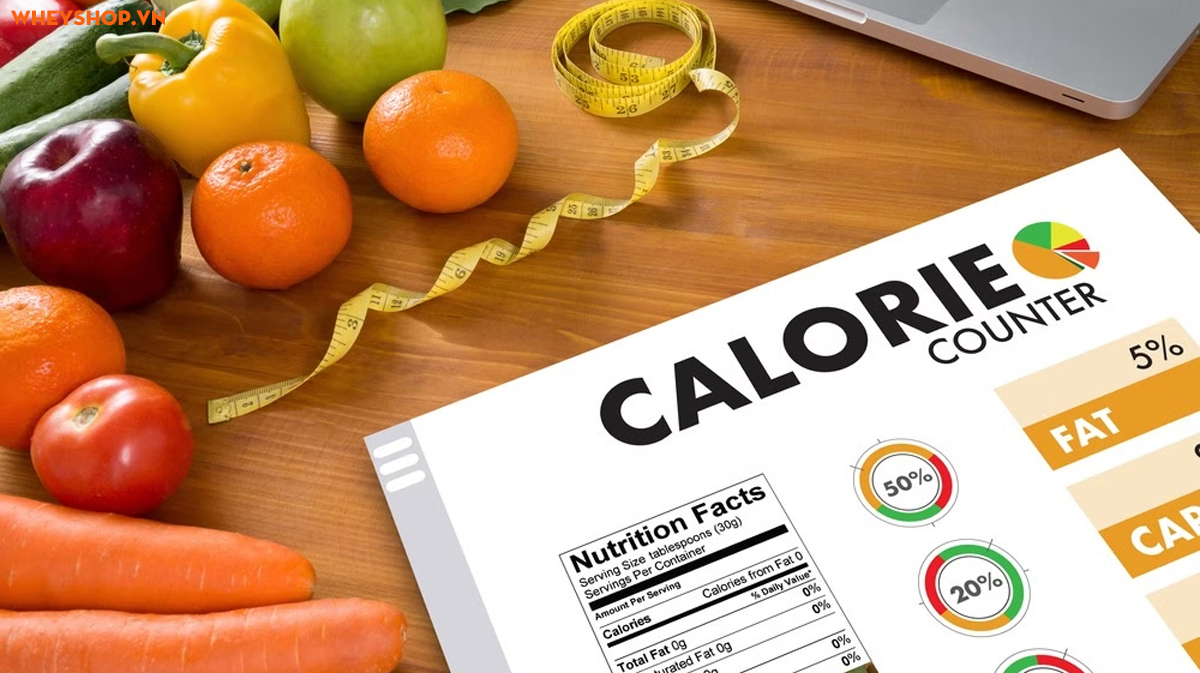 Quy đổi kcal sang kJ: Công thức + Bảng tra nhanh - WheyShop.vn