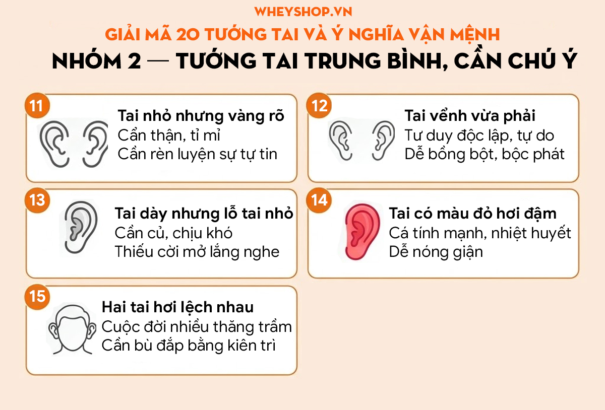 Tướng tai đẹp là gì? 20 tướng tai & ý nghĩa vận mệnh