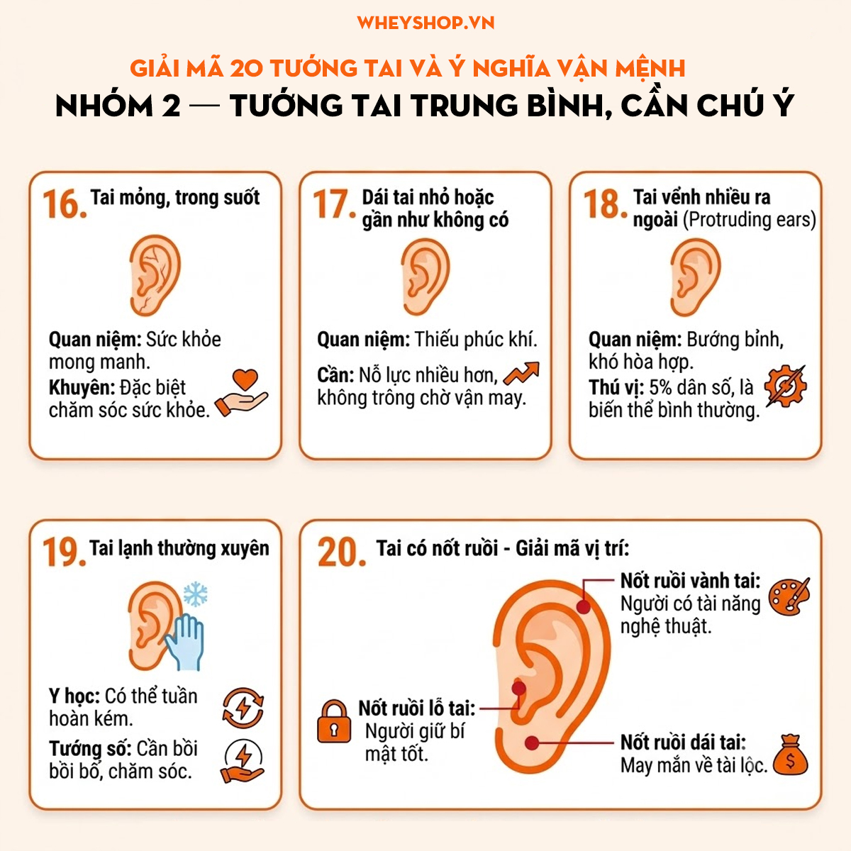 Tướng tai đẹp là gì? 20 tướng tai & ý nghĩa vận mệnh