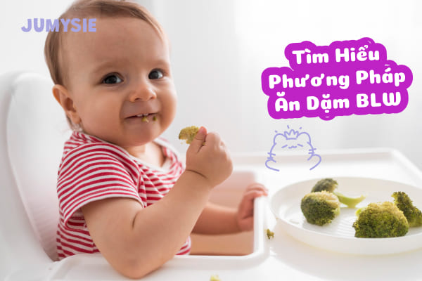 Dụng cụ cho bé ăn dặm blw