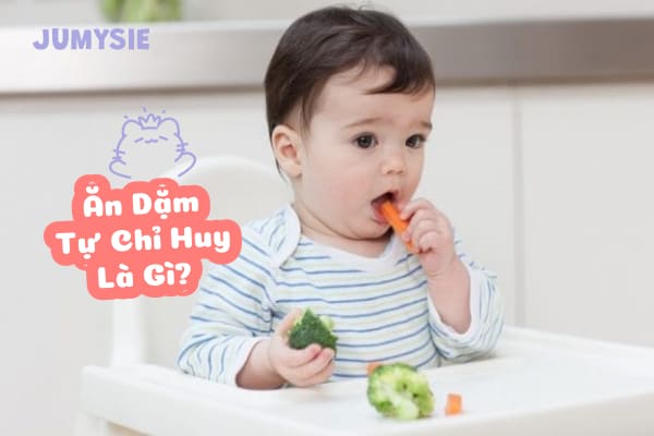Tìm hiểu thông tin về Ăn dặm tự chỉ huy