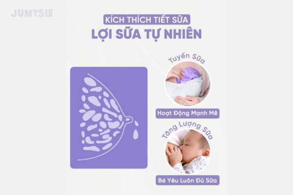 Kích thích tiết tuyến sữa tự nhiên