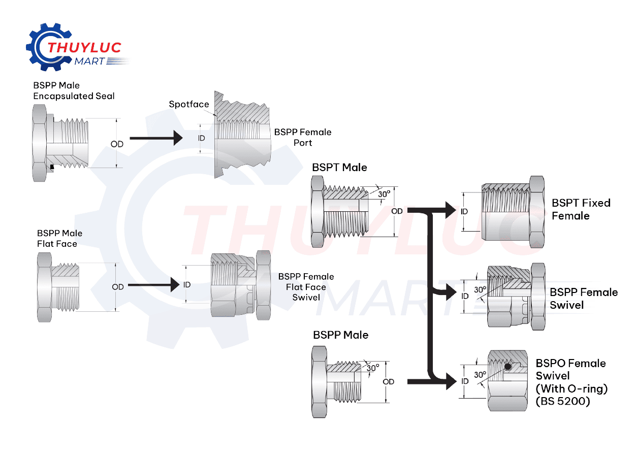 Ren BSPT và BSPP là hai chuẩn ren nguồn gốc từ Anh Quốc (British Standard Pipe)