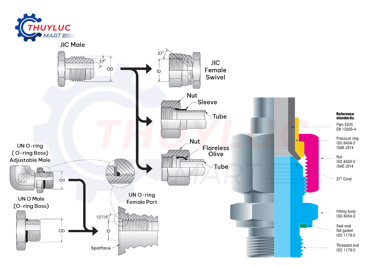 Ren JIC 37° Flare & UN Threads