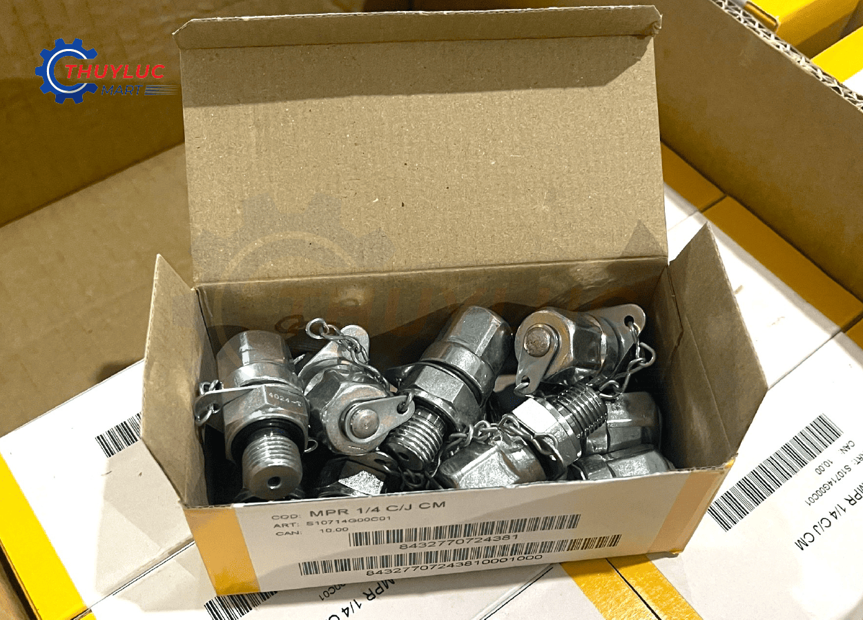 Đầu testpoint thủy lực Dicsa ren 1/4 BSP – phụ kiện lấy mẫu áp nhanh