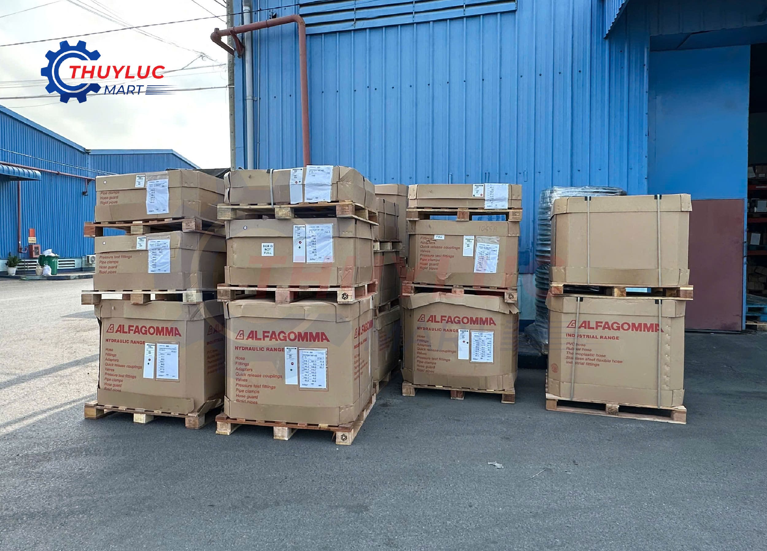 Kho ống mềm thủy lực Alfagomma chính hãng nhập container tại Thủy Lực Mart chuyên cung cấp toàn quốc