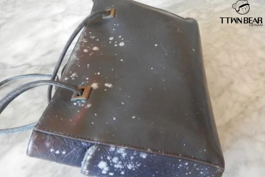 túi xách bị mốc