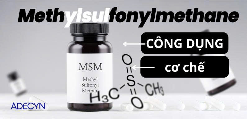 Methylsulfonylmethane (MSM): cơ chế và công dụng
