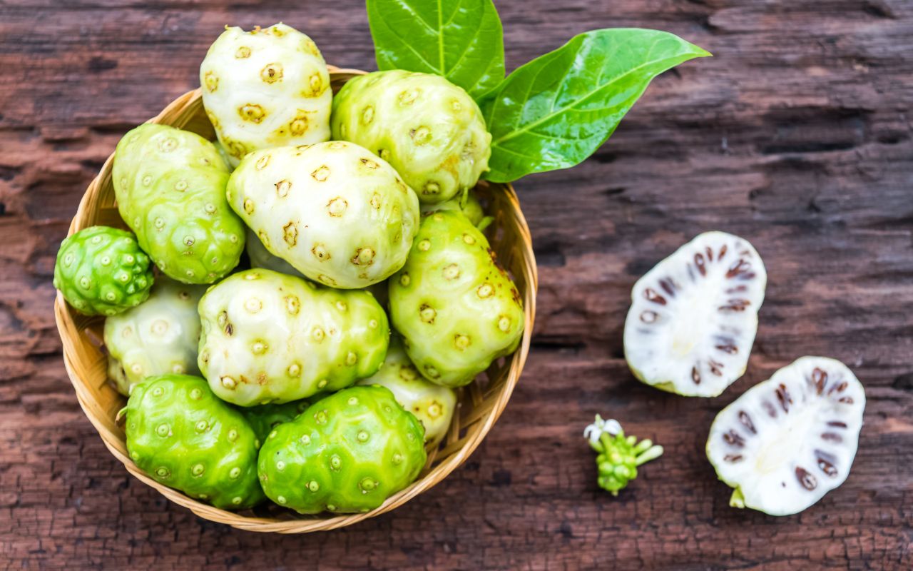 Trái Nhàu Tăng Miễn Dịch: Bí Quyết Tăng Cường Sức Đề Kháng Tự Nhiên