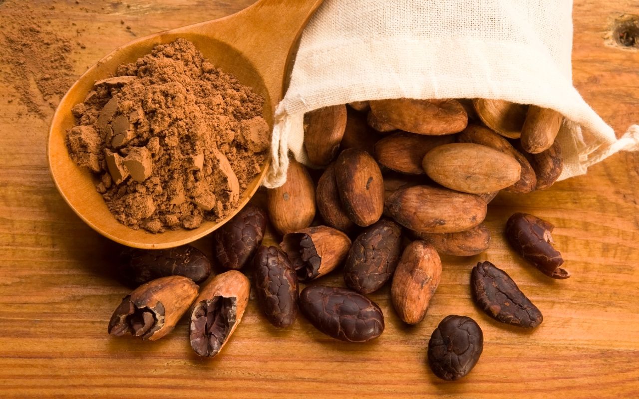 Uống cacao mỗi ngày có tốt cho sức khỏe không?