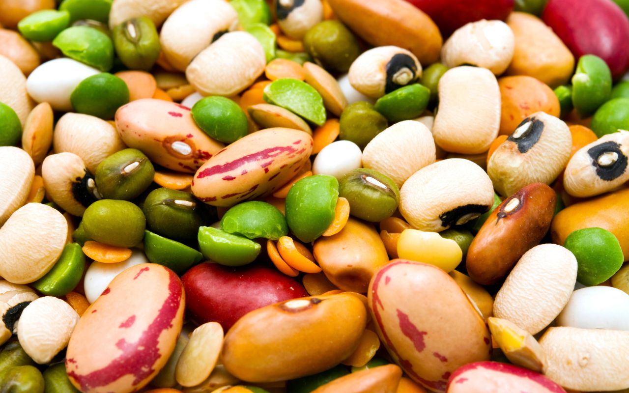 Bột Ngũ Cốc Có Protein Không? Giải Đáp