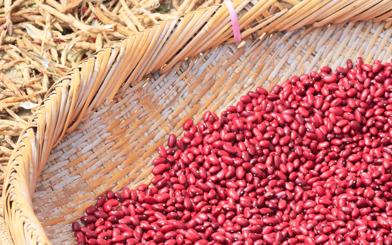 2 Muỗng Bột Ngũ Cốc Có Bao Nhiêu Calo?