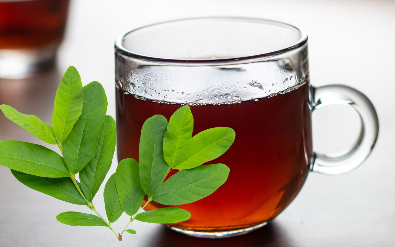 Uống Nước Lá Ổi Hàng Ngày Có Tốt Không? Lợi Ích Và Những Lưu Ý Quan Trọng