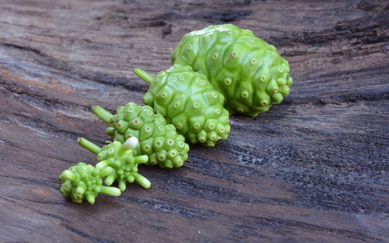 Trái Nhàu Hỗ Trợ Hen Suyễn: Tiềm Năng Giúp Hô Hấp Dễ Dàng Hơn