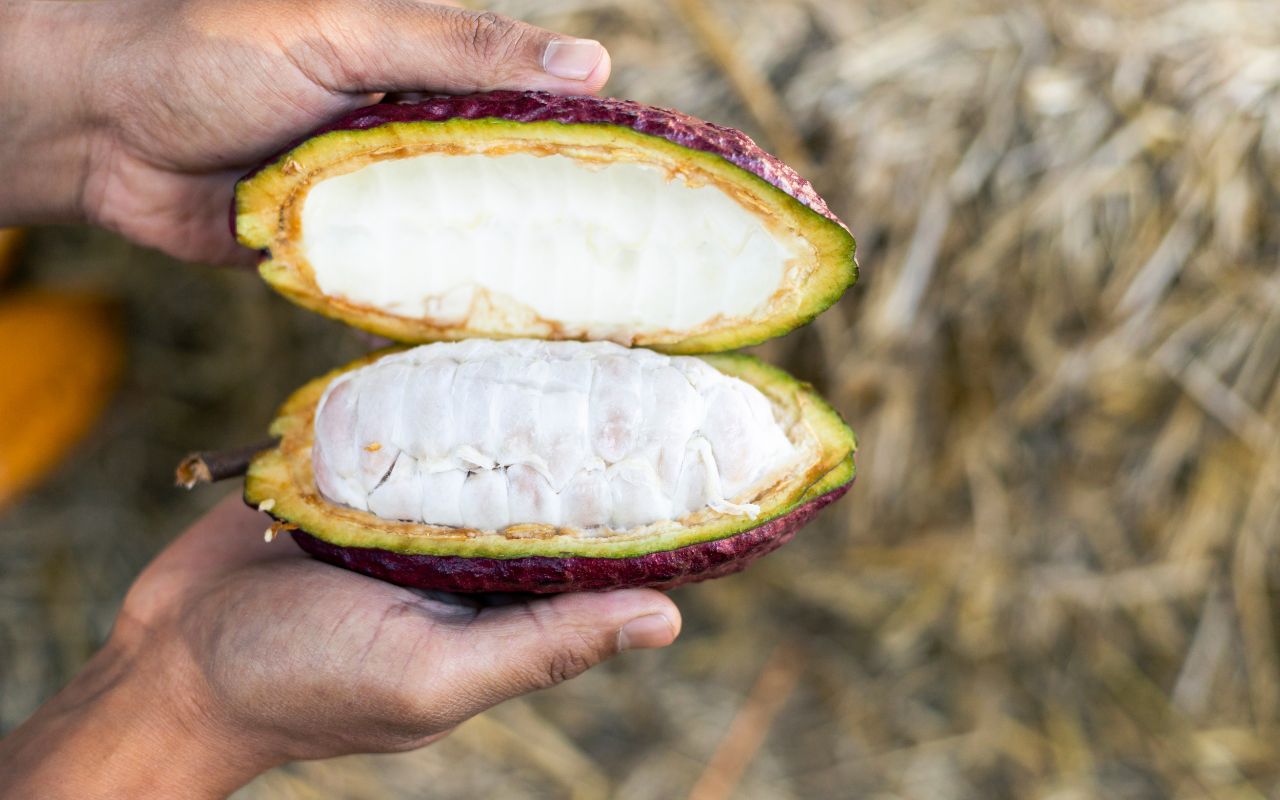 Cách làm sữa cacao đá mát lạnh, đơn giản