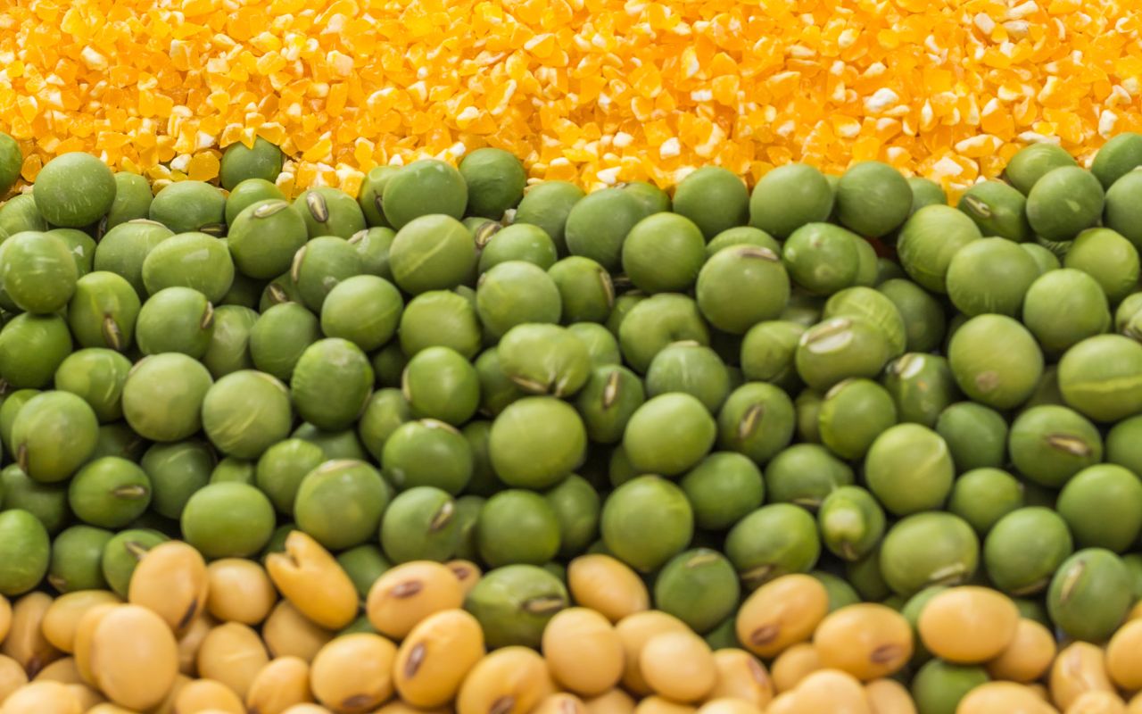 Bột Ngũ Cốc Dinh Dưỡng Không Đường Tốt